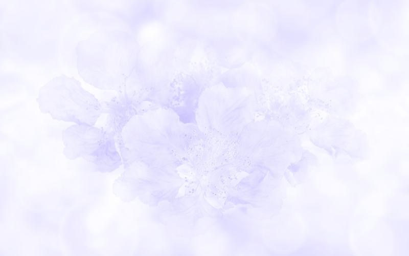 hình nền PowerPoint hoa (ảnh 29)