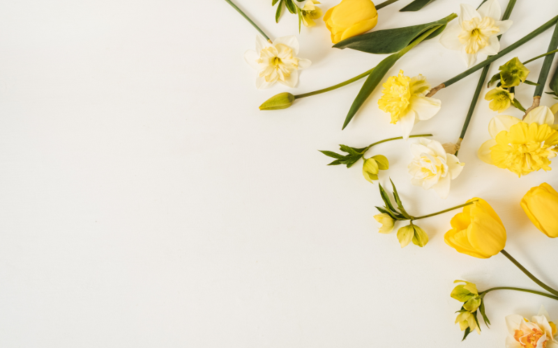 hình nền PowerPoint hoa (ảnh 33)