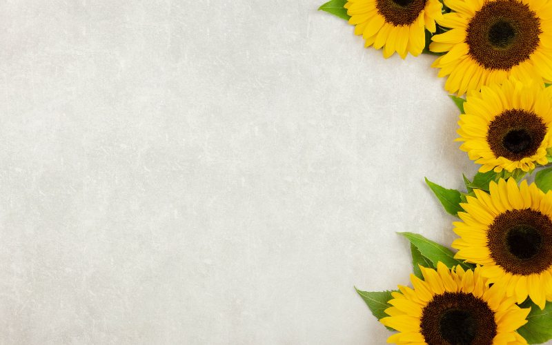 hình nền PowerPoint hoa (ảnh 34)