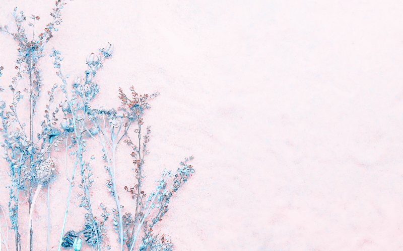 hình nền PowerPoint hoa (ảnh 36)