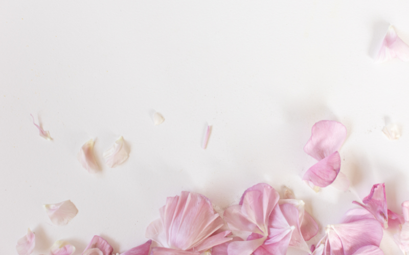 hình nền PowerPoint hoa (ảnh 39)