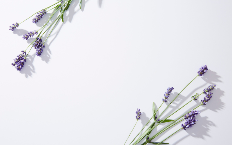 hình nền PowerPoint hoa (ảnh 3)