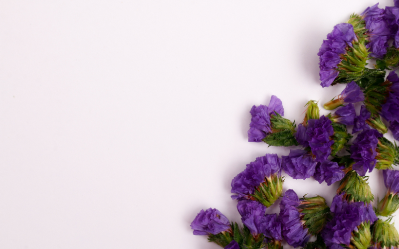 hình nền PowerPoint hoa (ảnh 6)