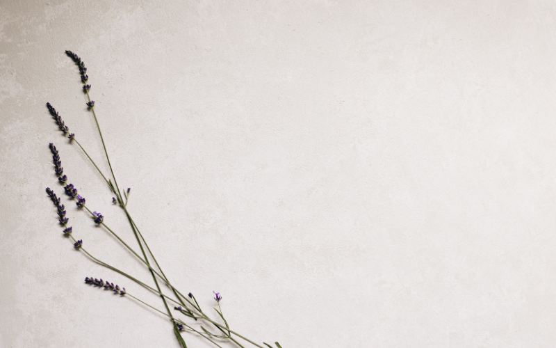 hình nền PowerPoint hoa (ảnh 7)