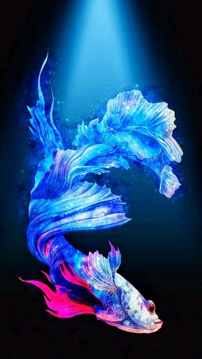 hình nền cá Betta 4K hình 17