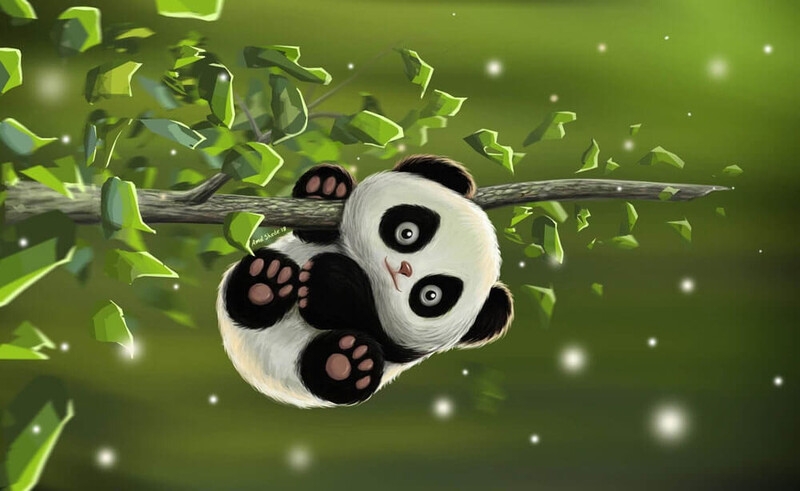 Hình nền gấu cute ảnh 34