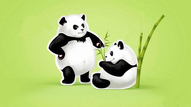 Hình nền gấu cute ảnh 37