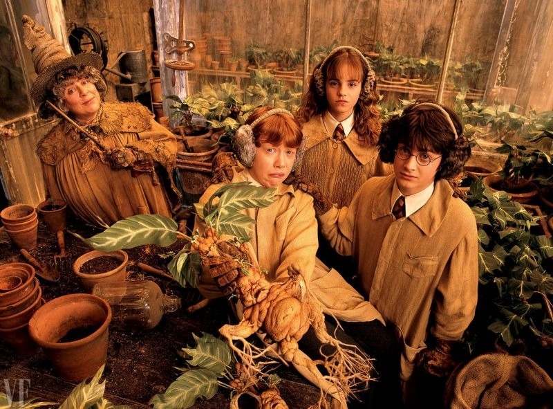 hình nền Harry Potter hình 1