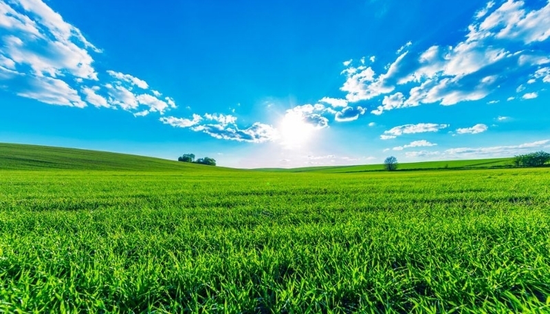 hình nền iPadOS 26 hình 20