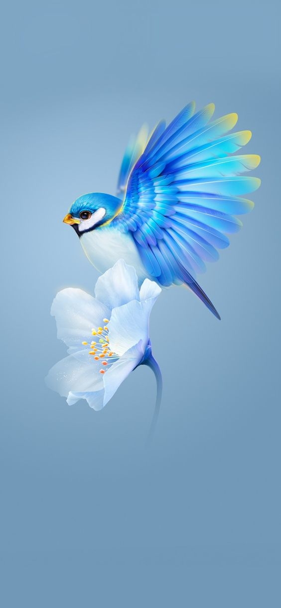 hình nền iphone độc đẹp ảnh 19