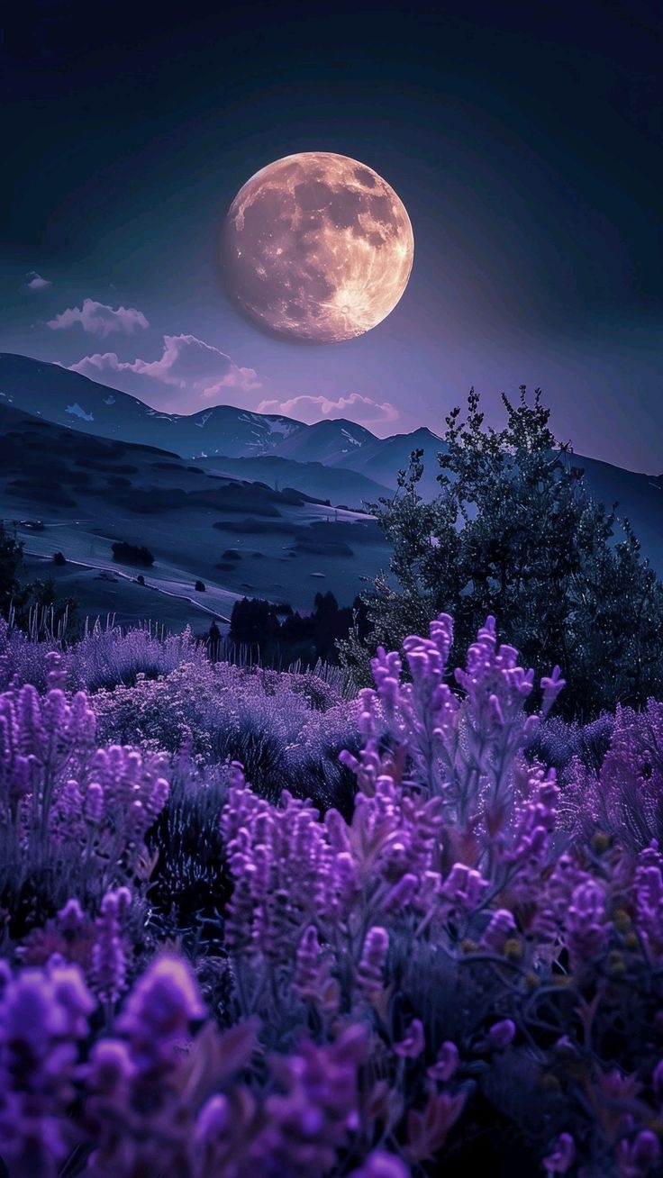 hình nền iphone độc đẹp ảnh 3