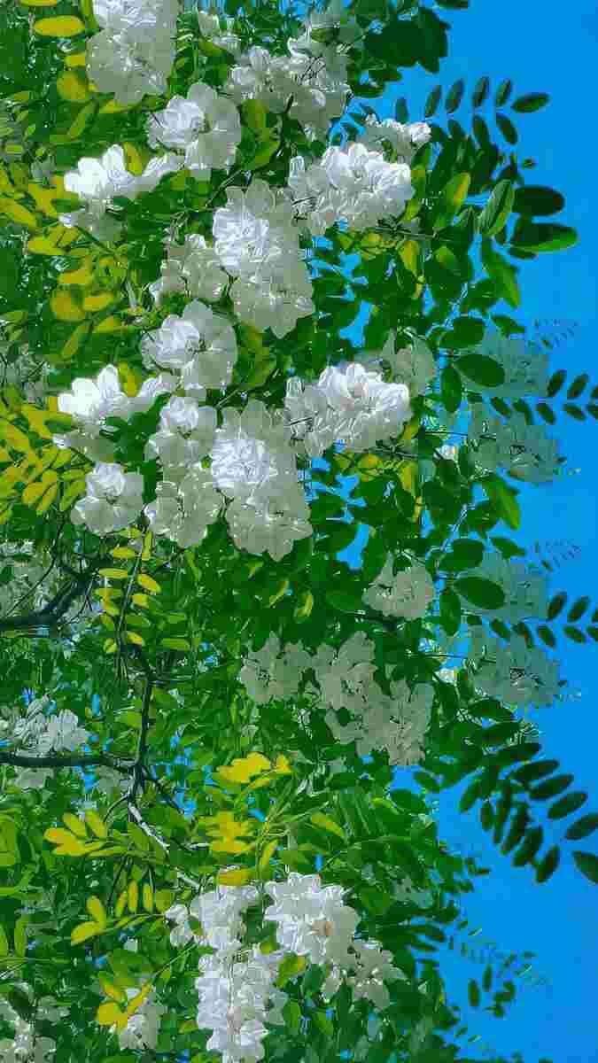 hình nền không gian hình 27