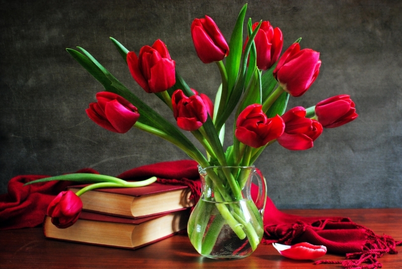 Những hình ảnh hoa Tulip đỏ lãng mạn