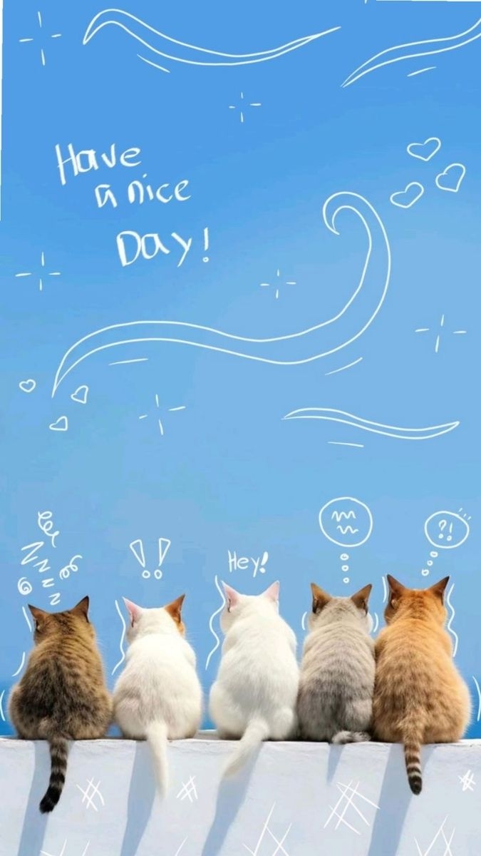 Hình nền OPPO ảnh 17