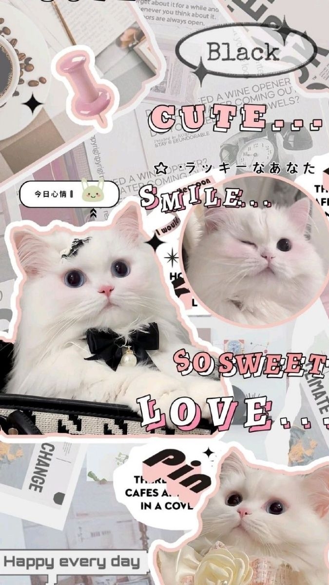 Hình nền OPPO ảnh 18