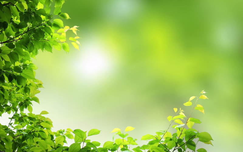 hình nền powerpoint địa lý (ảnh 15)