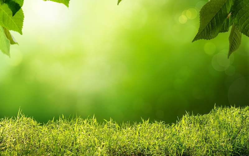 hình nền powerpoint địa lý (ảnh 16)