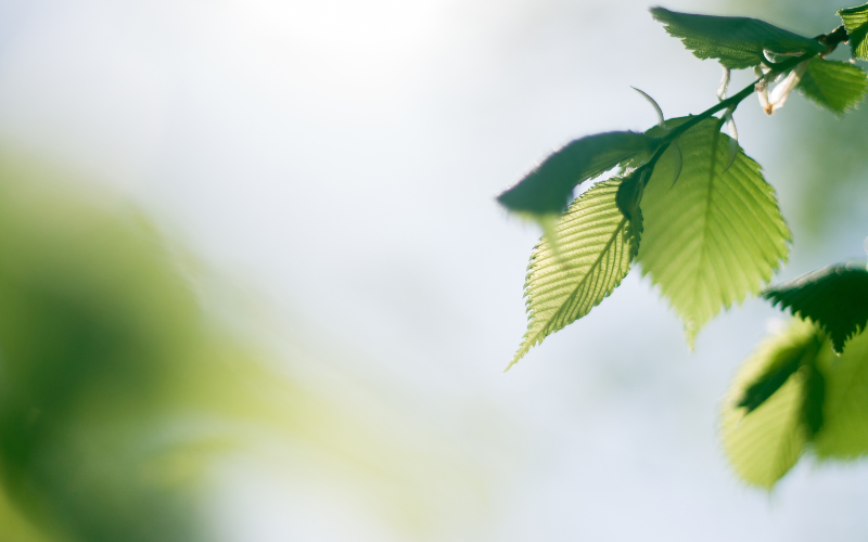 hình nền powerpoint địa lý (ảnh 22)