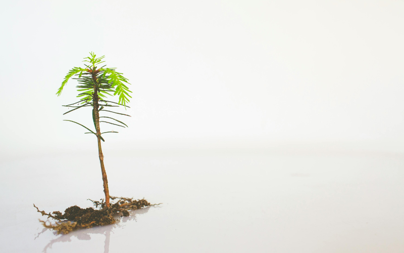 hình nền powerpoint địa lý (ảnh 27)