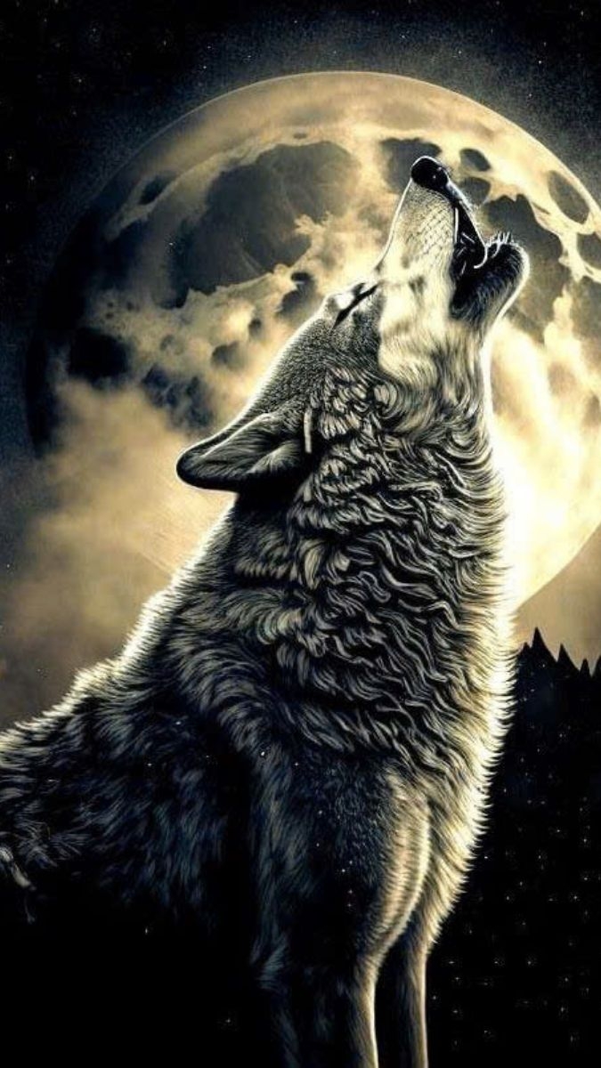Hình nền sói ảnh 10