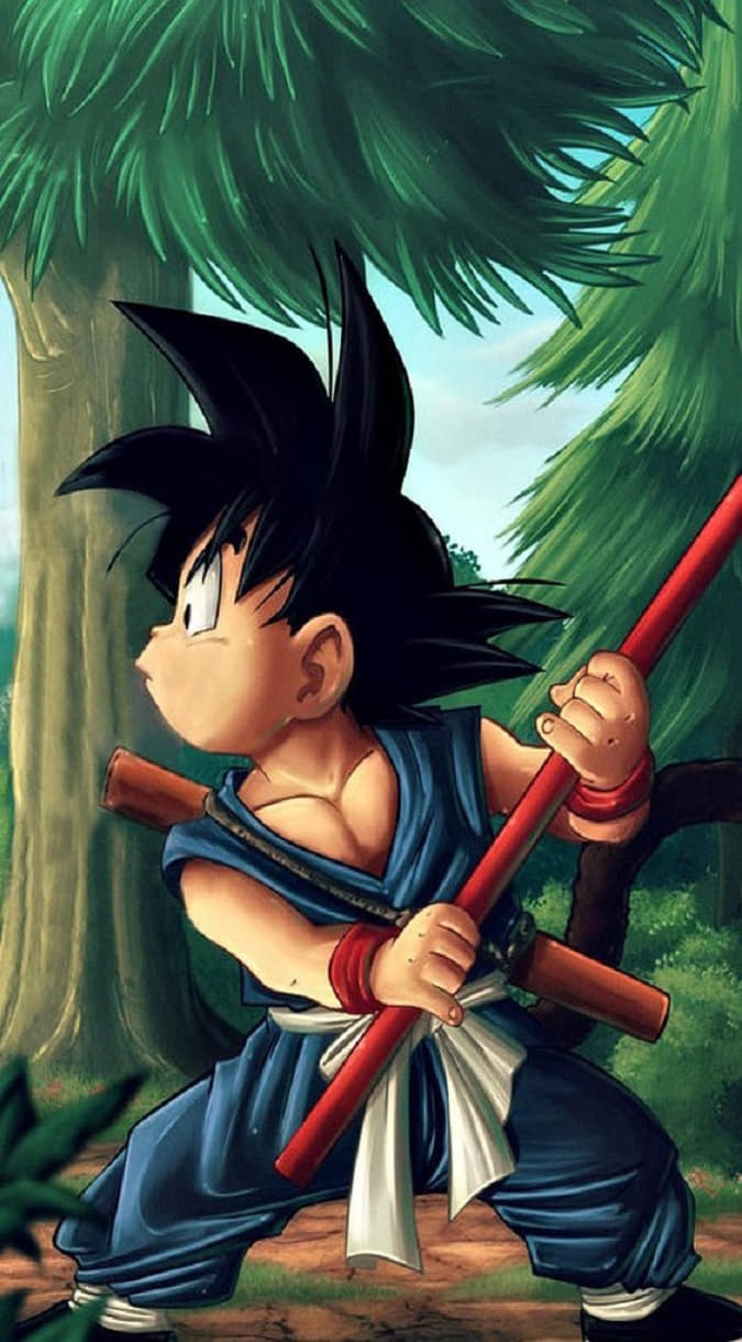 Hình nền Songoku ảnh 21