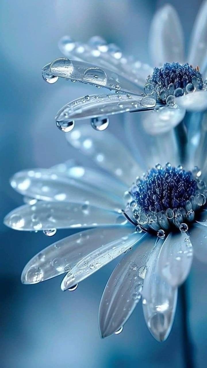 hình nền thu hút tiền bạc mệnh thủy hình 6