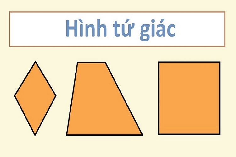 hình tứ giác là gì