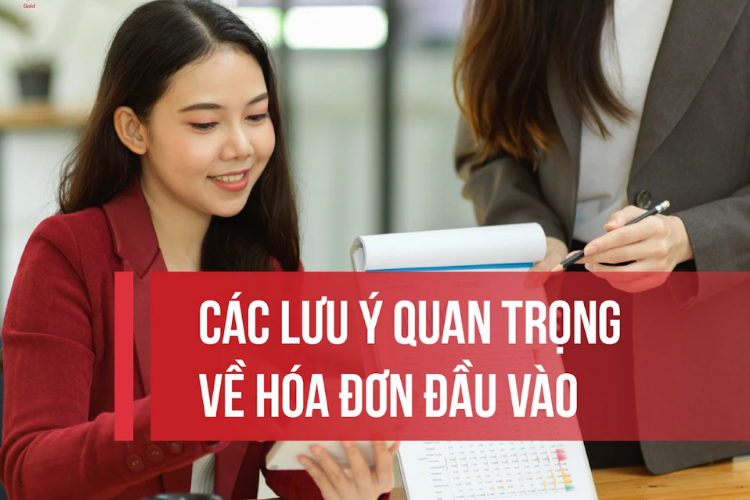 hóa đơn đầu vào là gì 3