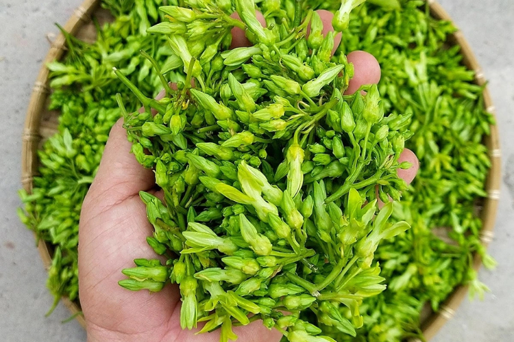Hoa thiên lý xào tỏi hình 5