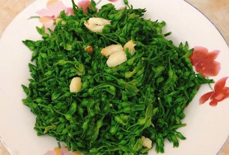 Hỗ trợ điều trị vô sinh