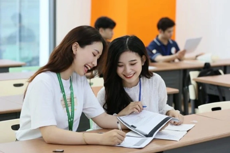Ngành Sư phạm ra làm gì? - hình 2