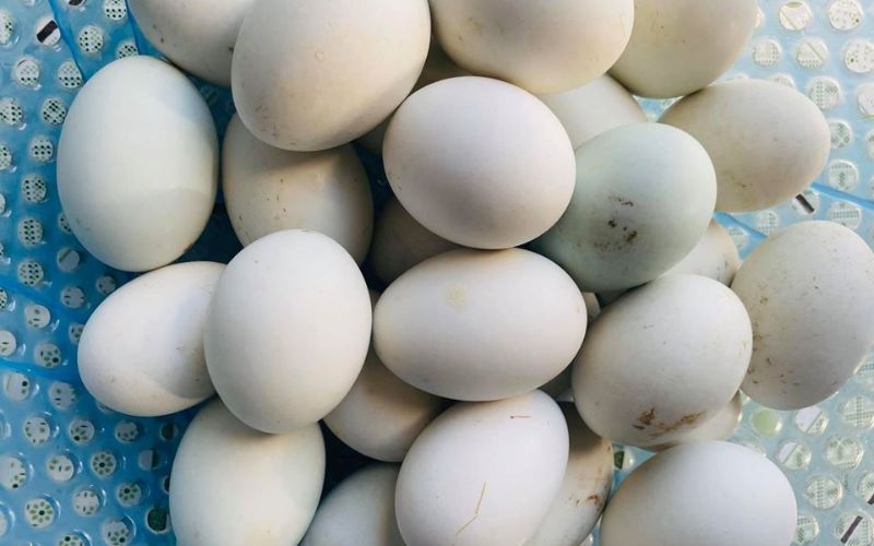 Cách chọn hột vịt lộn non, ngon