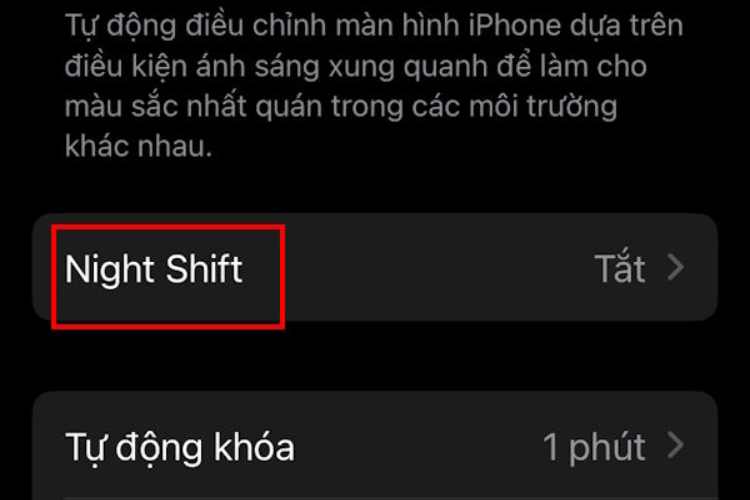 Tắt tự động thay đổi độ sáng màn hình iPhone hình 2