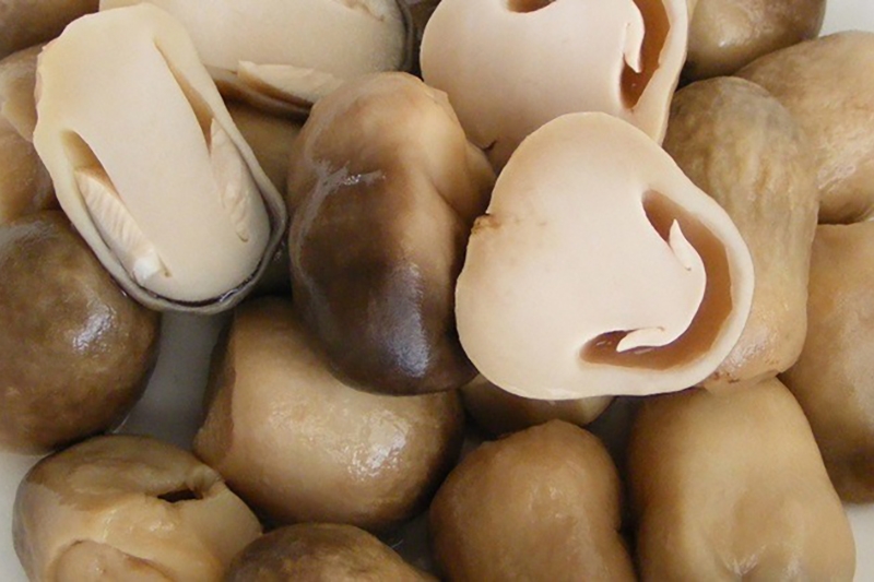 nấm rơm xào sa tế (hình 4)