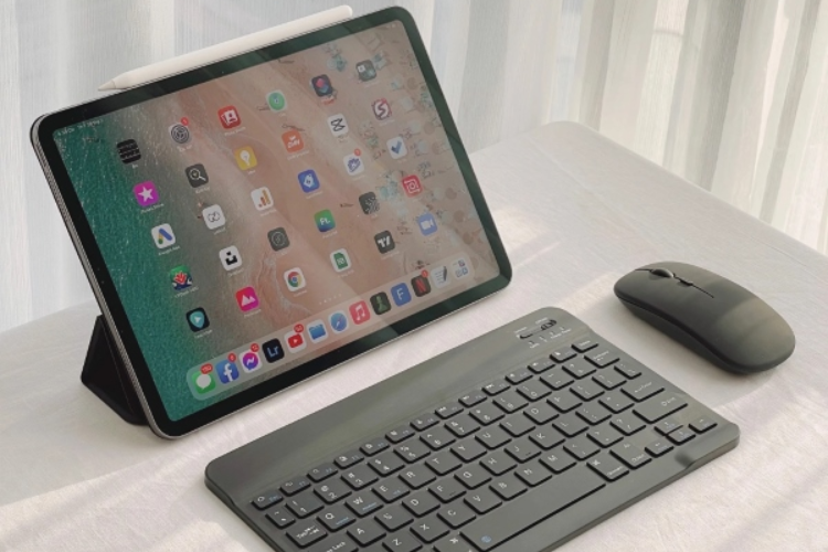 cách sử dụng chuột rời trên iPadOS hình 2