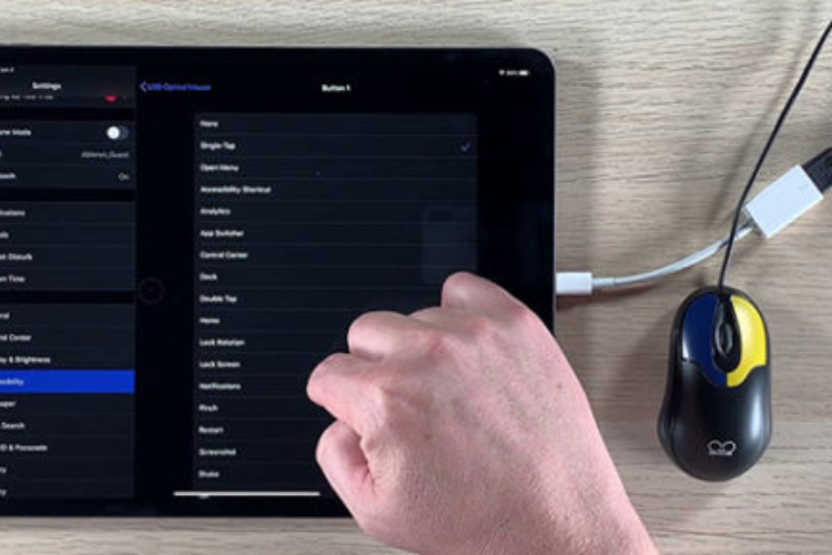 cách sử dụng chuột rời trên iPadOS hình 4