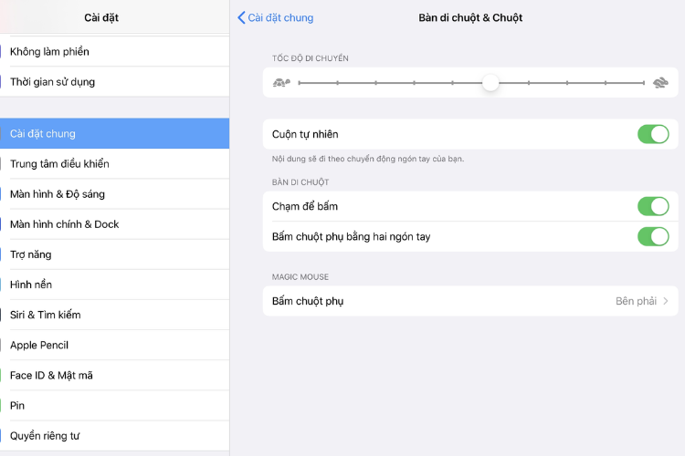 cách sử dụng chuột rời trên iPadOS hình 6