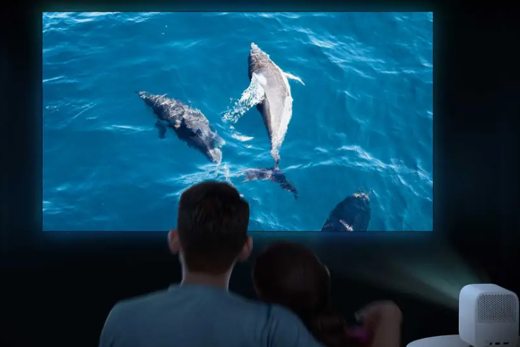 Hướng dẫn sử dụng máy chiếu Xiaomi hình 3