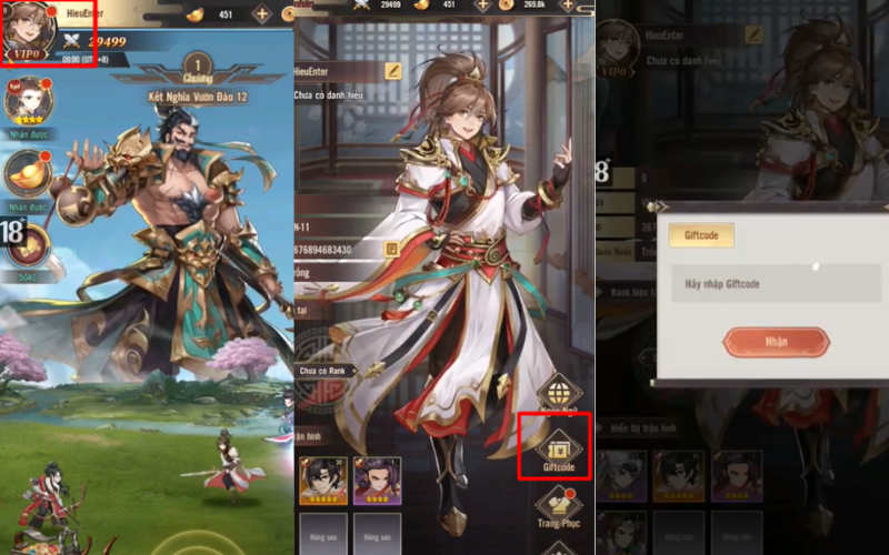 Hướng dẫn nhập code