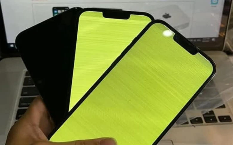 iPhone 13 Pro Max bị xanh màn hình (ảnh 1)