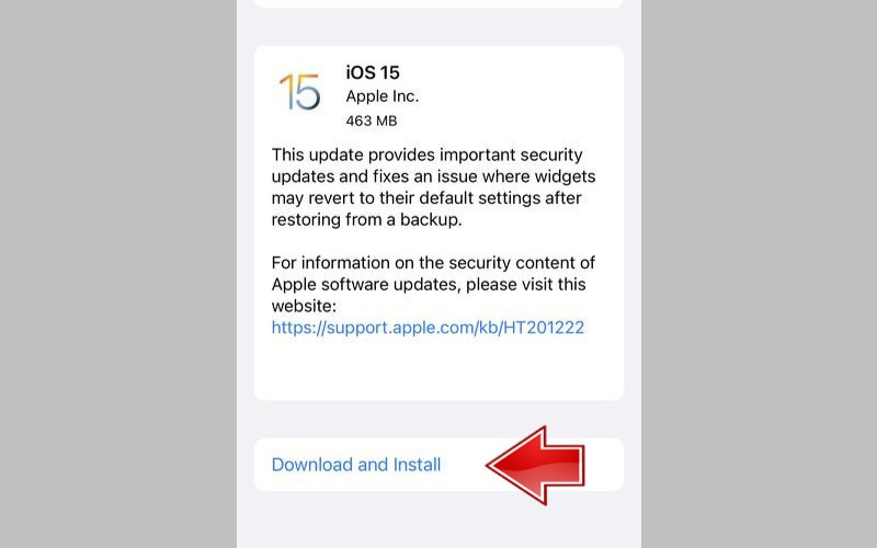 iPhone 13 Pro Max bị xanh màn hình (ảnh 5)