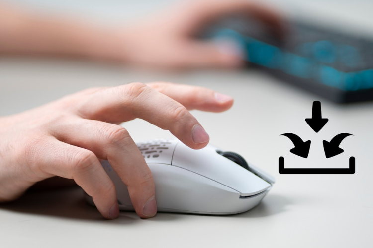 Input là gì 7