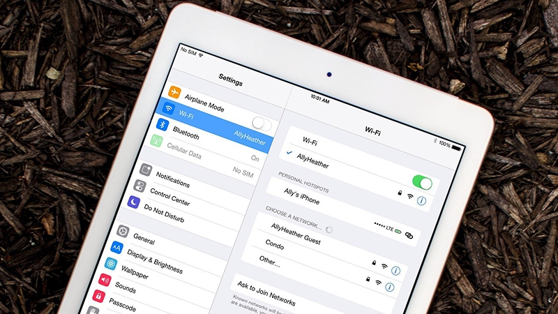 iPad không tải được ứng dụng - hình 3