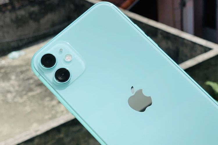 iphone-11-khong-len-man-hinh-nhung-van-co-tieng (6).jpg