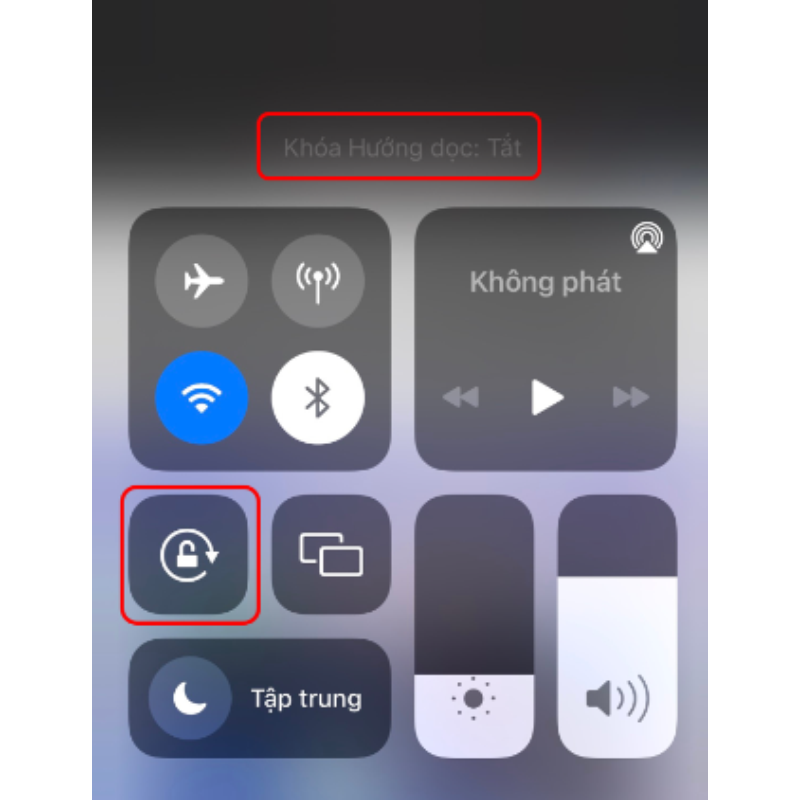 iPhone lỗi khóa hướng dọc là gì - hình 4