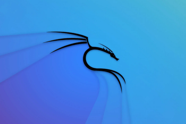 kali linux ảnh 4