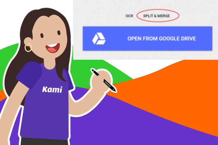 kami 7