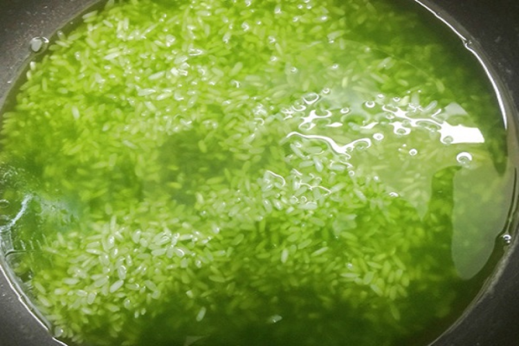 Kem xôi hình 5