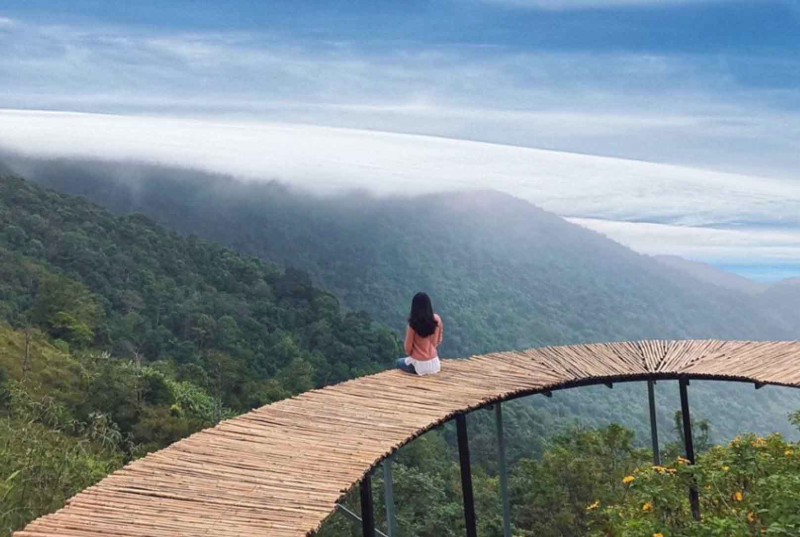 Khám phá Cầu Mây Tam Đảo (hình 1)