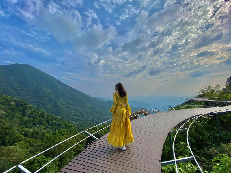 Khám phá Cầu Mây Tam Đảo (hình 7)